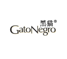 英文单词：gatonegro是什么意思