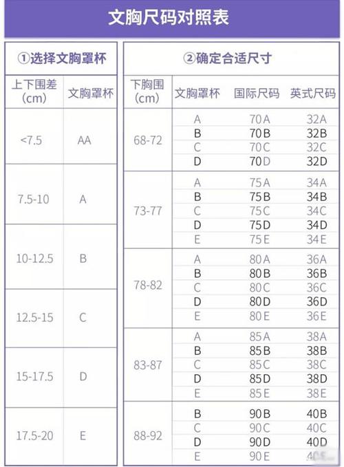 胸罩怎么分大小