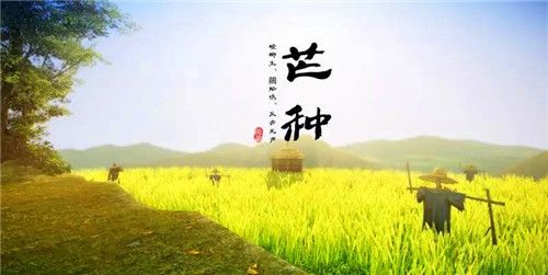 芒种是什么意思