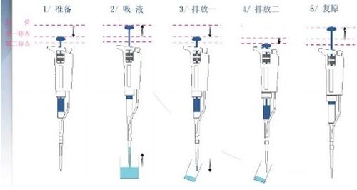 移液管的工作原理