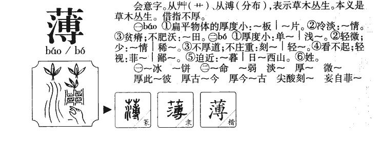 簿怎么读音是什么