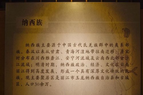 纳西族的介绍