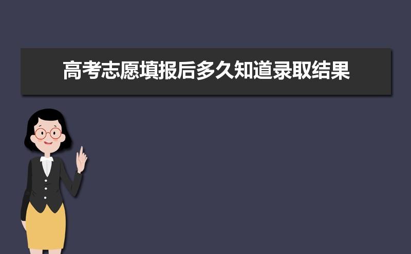 一般填报高考志愿后多久就能知道结果是否被录取？