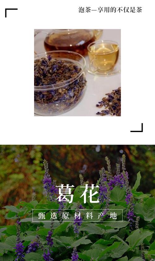 葛花怎么解酒 葛花解酒的食用方法