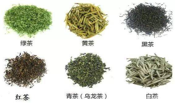 茶的分类有哪些？