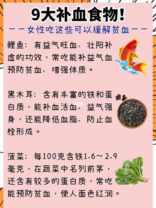 贫血吃什么食物