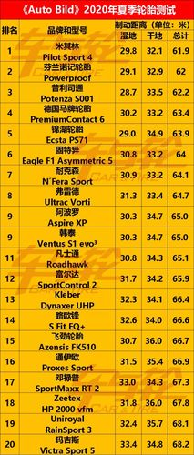 世界轮胎排名前十位