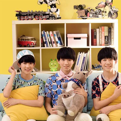 TFboys拍过什么电视或电影？