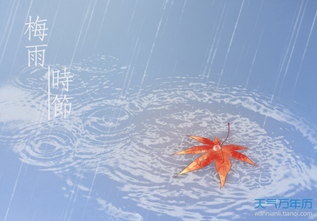 梅雨季节一般是什么时候？