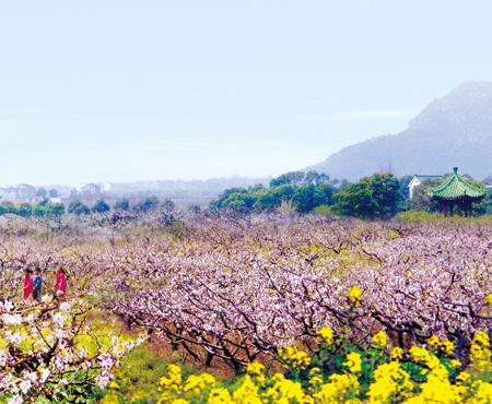 阳山桃花节是几月几日？