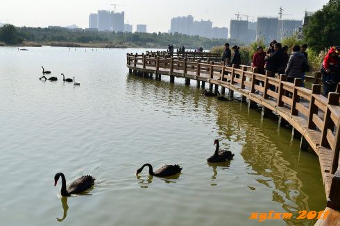 五缘湾湿地公园要门票吗？