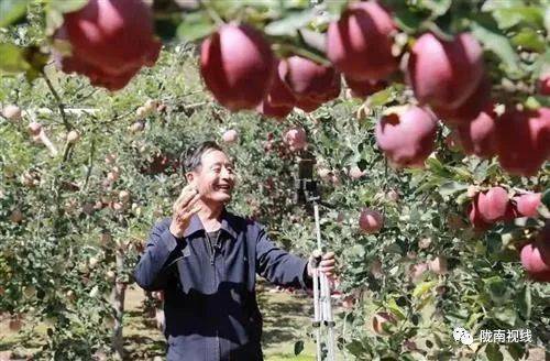 云南山村农民横跨三大产业逆袭，留学生组团来取经，中国的商机都有哪些？