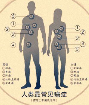 炭火烧烙铁死癌细胞，这个偏方有用吗？