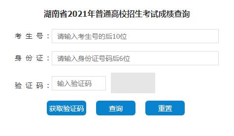 2020年湖南高考成绩怎么查
