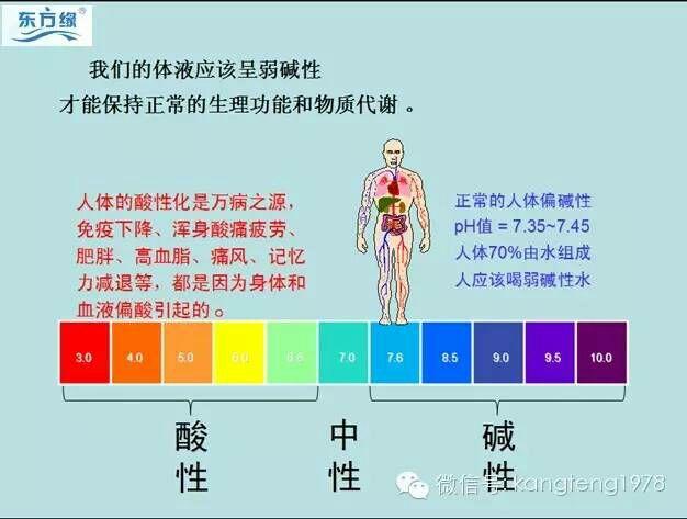 什么是弱碱