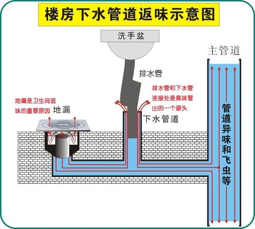 卫生间地漏反味儿怎么解决