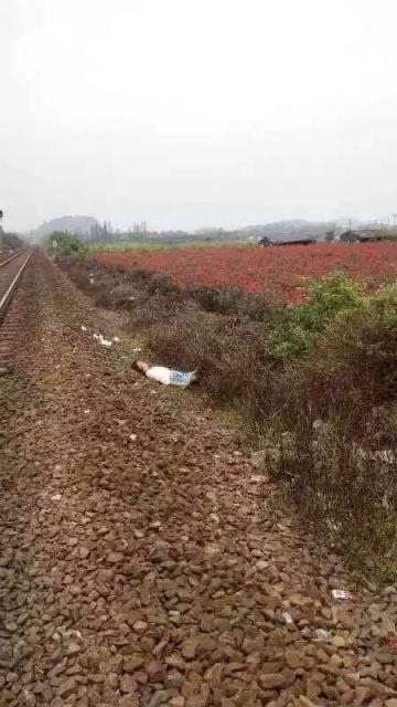 少女在机场跑道上自拍 被飞机撞死是怎么回事