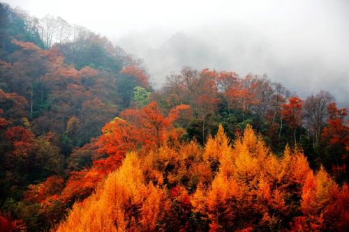 四川光雾山红叶节什么时候开始？