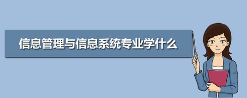 本科学校的信息管理与信息系统专业主要学什么？