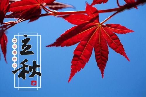 立秋是几月几号？