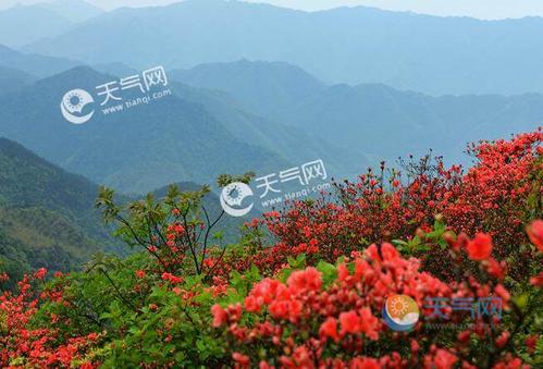 清明节去哪里旅游好