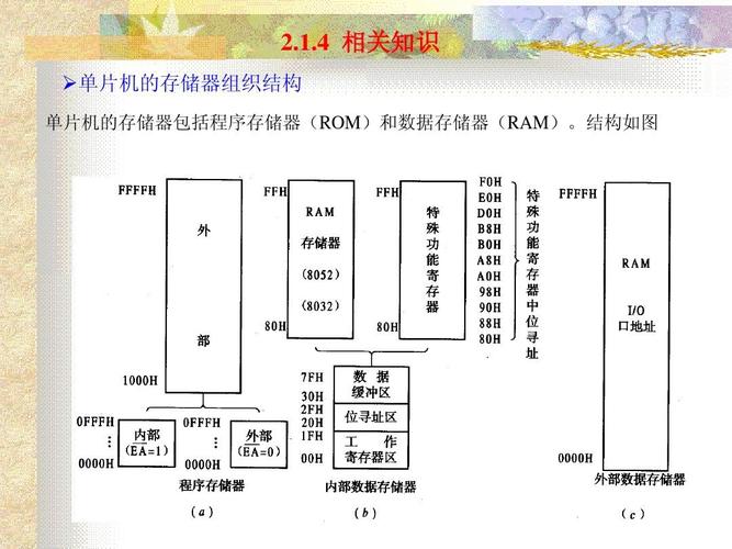 单片机的程序存储器有哪些类型？