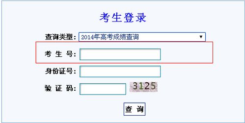 怎么查自己的考生号？