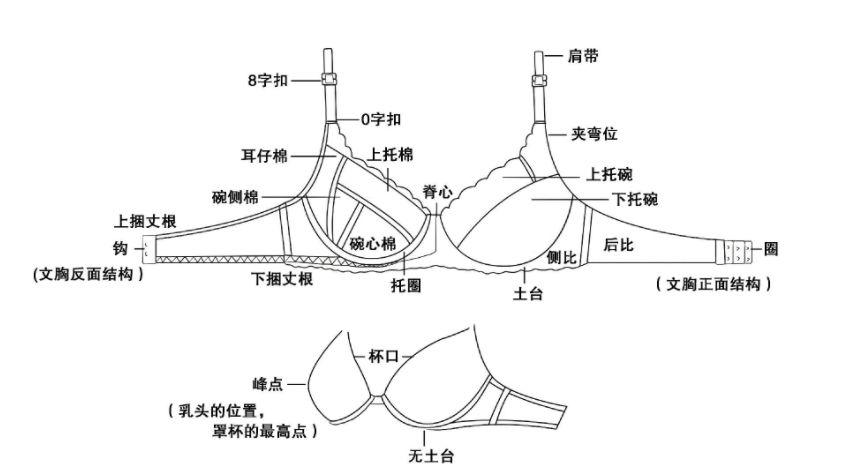 内衣有什么作用