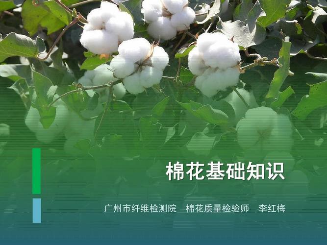 你知道哪些关于棉花的知识？