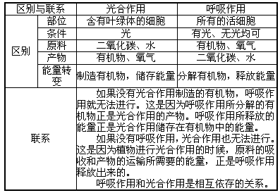 功能和作用有什么区别