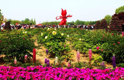 菏泽牡丹花会门票价位多少