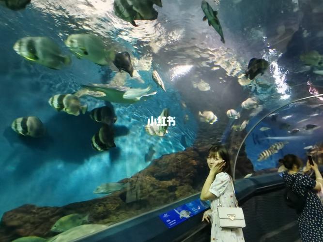 上海水族馆简介