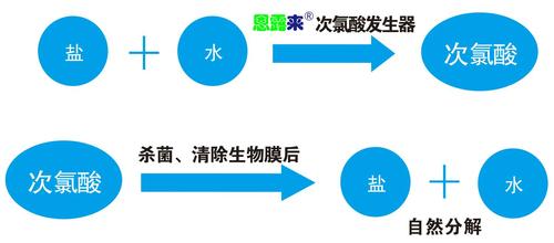 什么是次氯酸？了解下