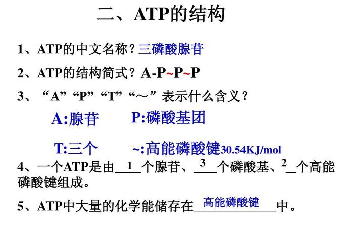 
</p>
<p>
磷酸主要起什么作用？
</p>
<p>
