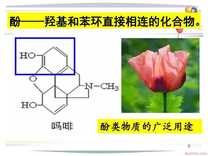 酚类物质是什么