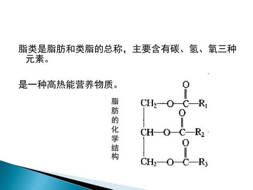 酯类物质是什么？