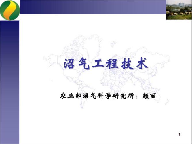 沼气工程中CSTR是什么的缩写，什么意思