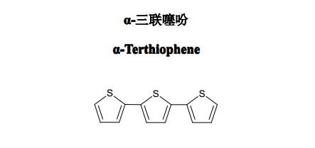 噻吩是什么？干什么用？