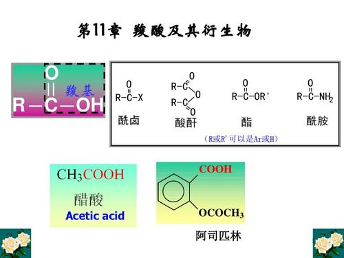 羧酸的衍生物有哪些