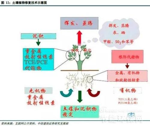 土壤修复技术主要有哪些