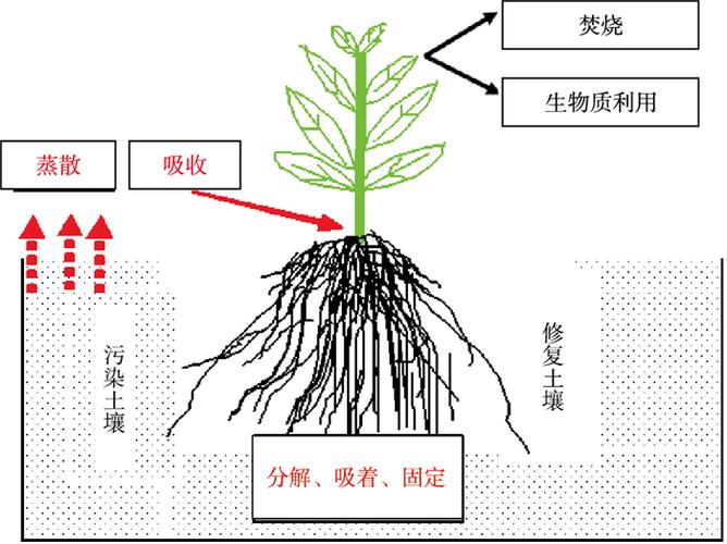 土壤修复的修复技术