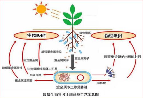 什么是土壤修复？