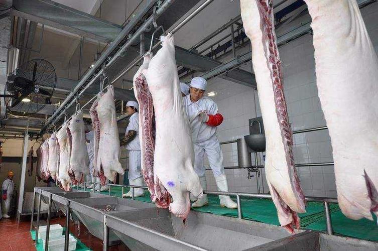 肉类加工机械企业都在哪些地区，肉类食品企业哪些地区居多呢？！