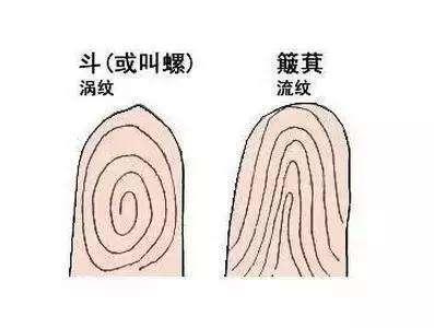 簸箕的意思