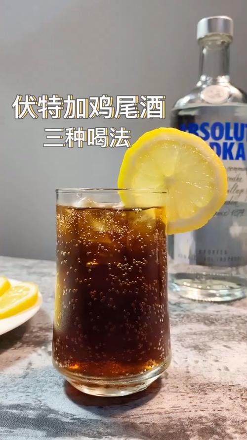 伏特加的几种正确喝法