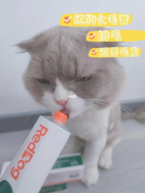 猫咪掉毛较多，给猫咪用什么化毛产品比较好？