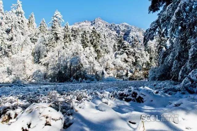 四川一地八月下雪了，这个地方究竟位于四川哪个地方？