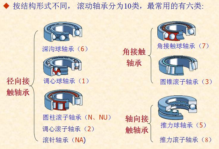 常用滚动轴承的类型有哪些