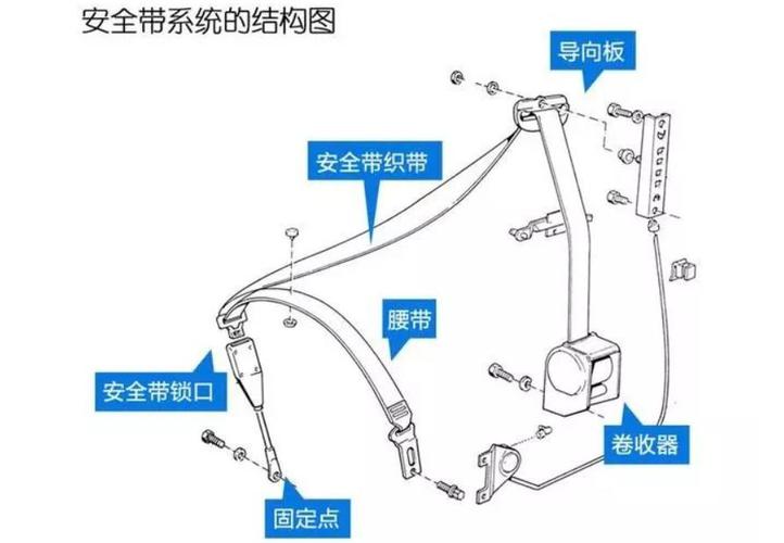 安全带有那几个部分组成？