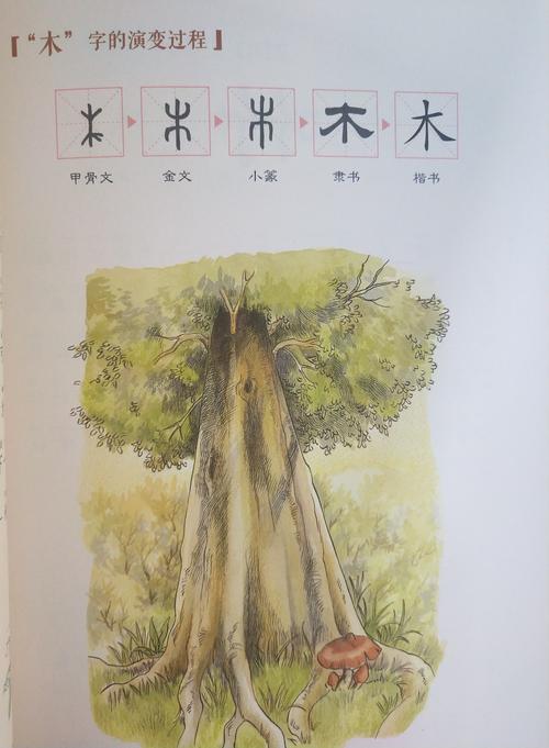 木字的来历